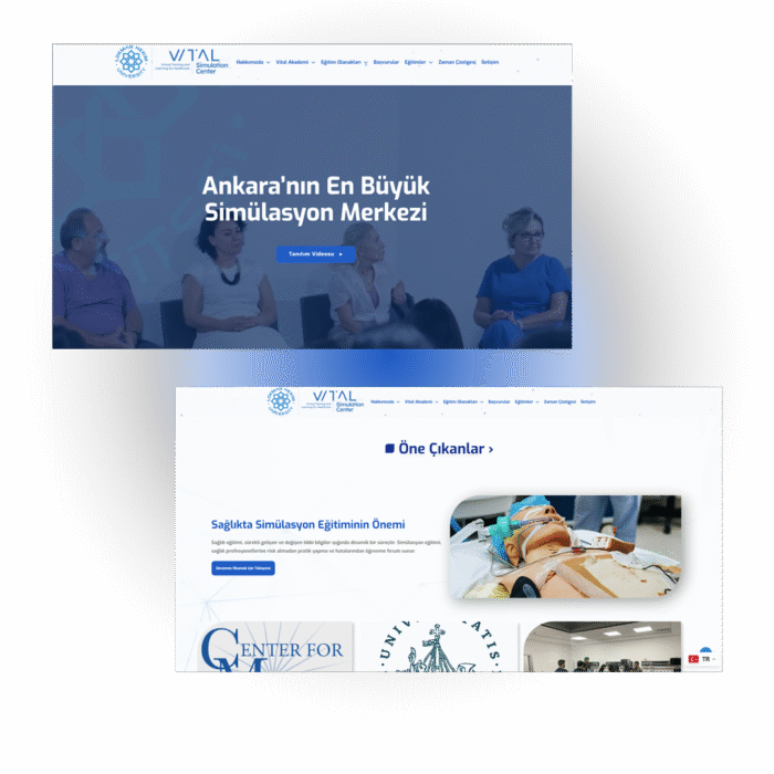 Web Sitesi - Standart