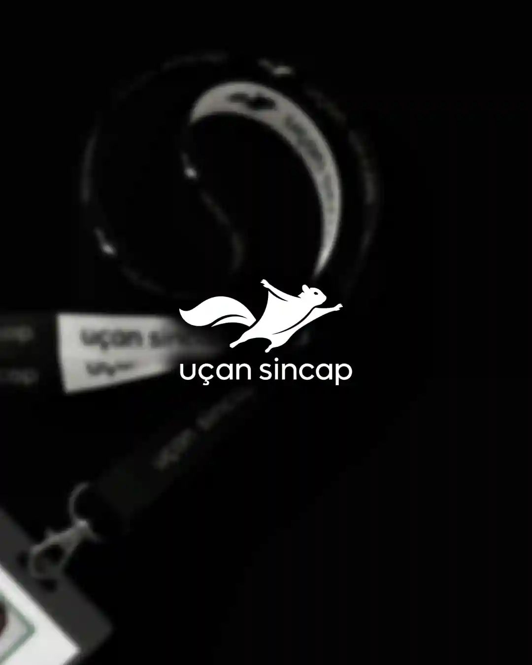 Uçan Sincap Creative